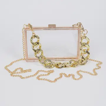 Transparent Case Clutch