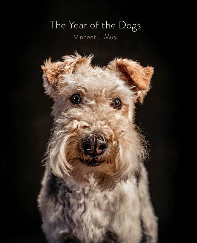 Year of the Dog Book