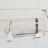 Clear Bag/Purse