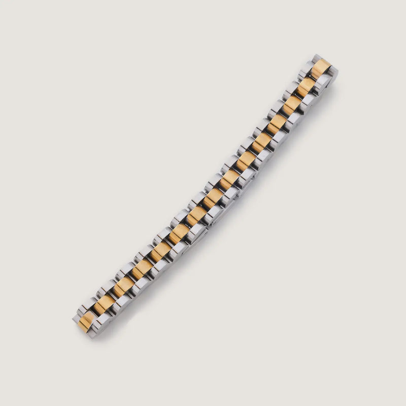 Mixed Metal Watch Band