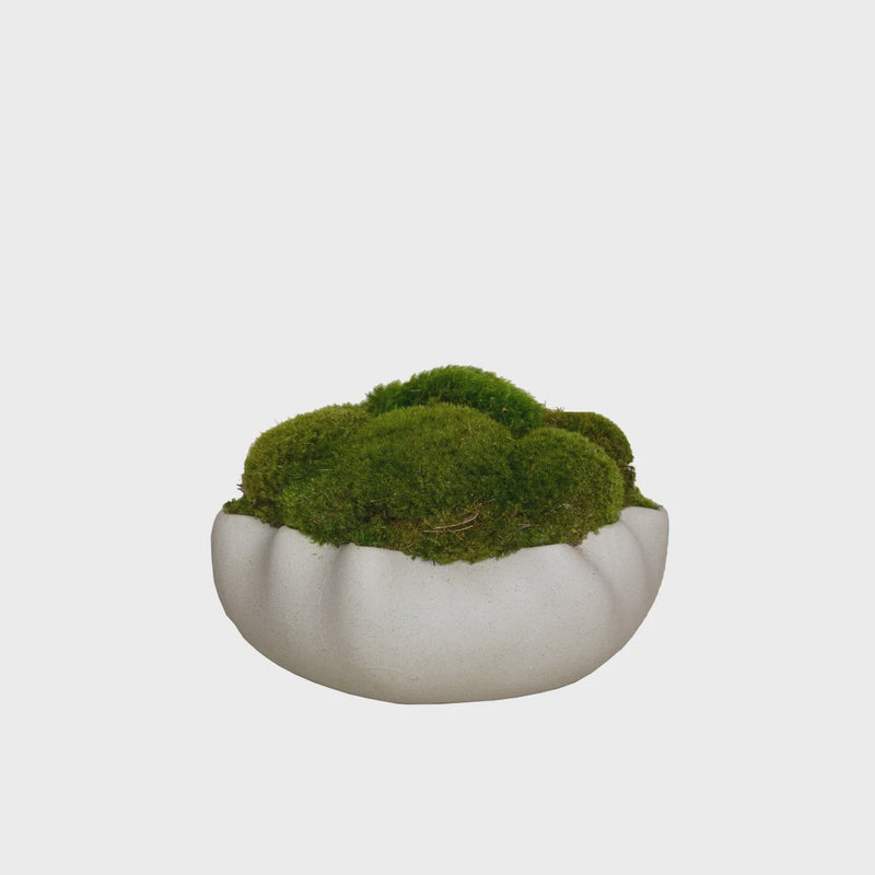 Grey Bowl/Mood Moss