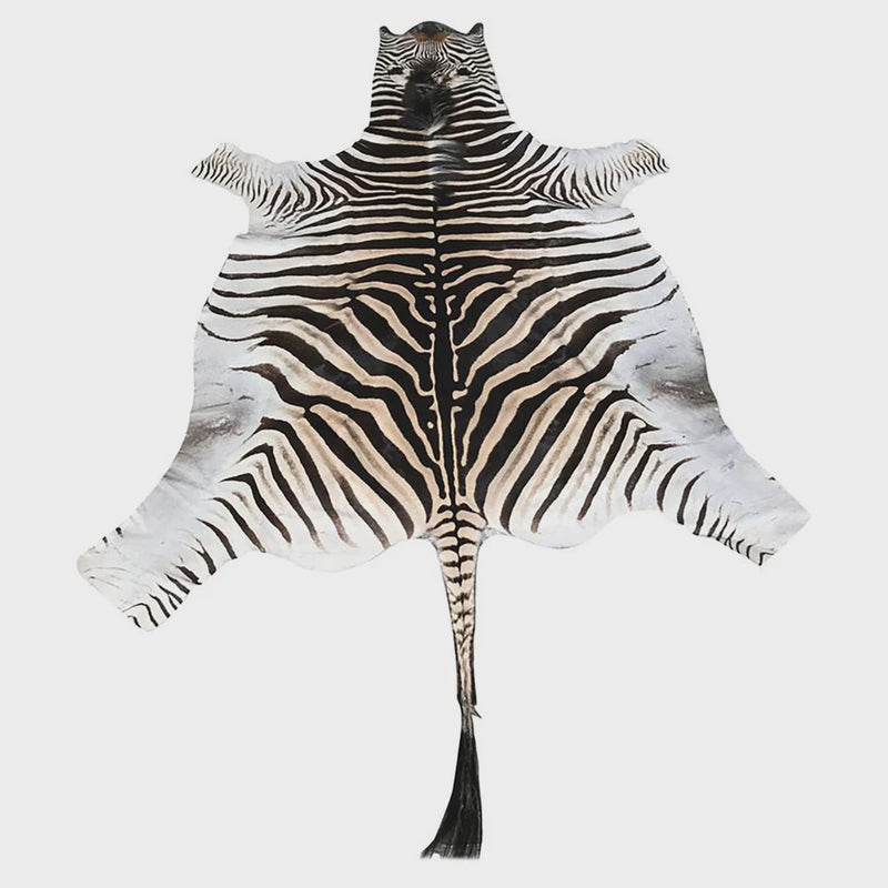 Zebra Rug