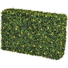 36" X 12" X 24" GR BOXWOOD HEDGE UV 190 WW LED