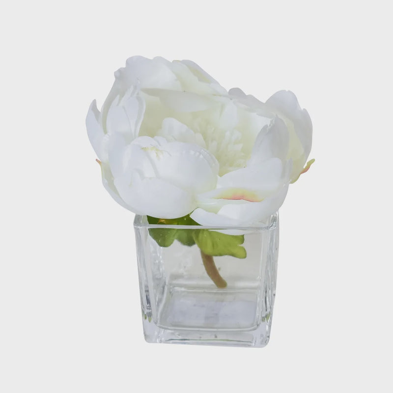 Silk Peony in Clear Glass